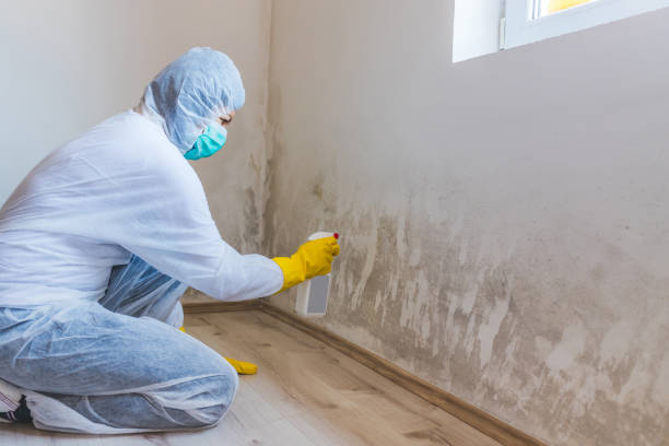 Hvac And Air Duct Mold Remediation inspection of HVAC system in Harrellsville