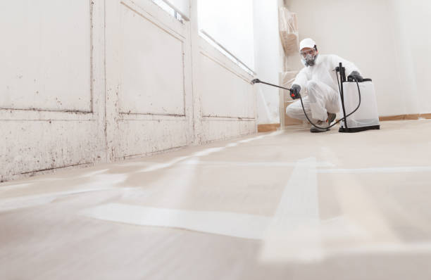 Black mold remediation team in Harrellsville